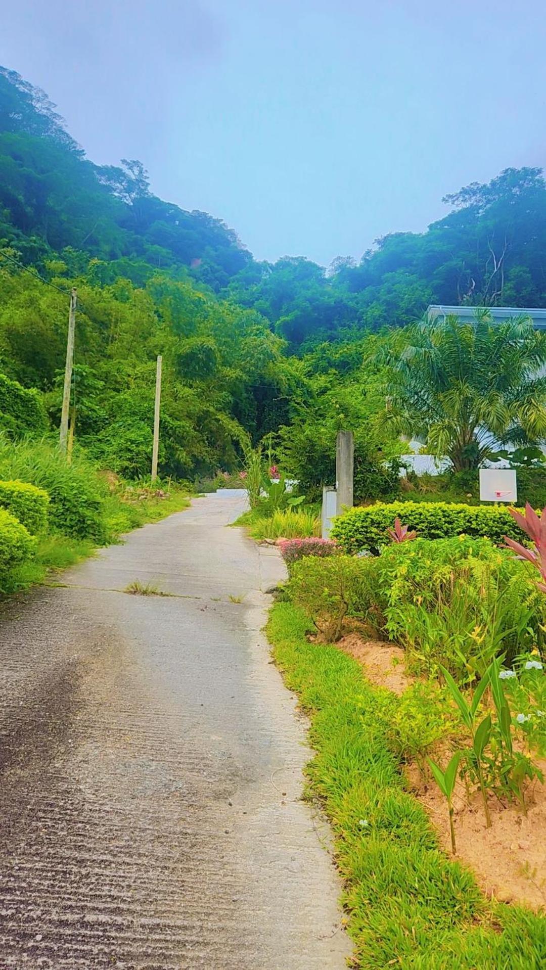 Wild Vanilla Apartment Mahe Island Exterior photo